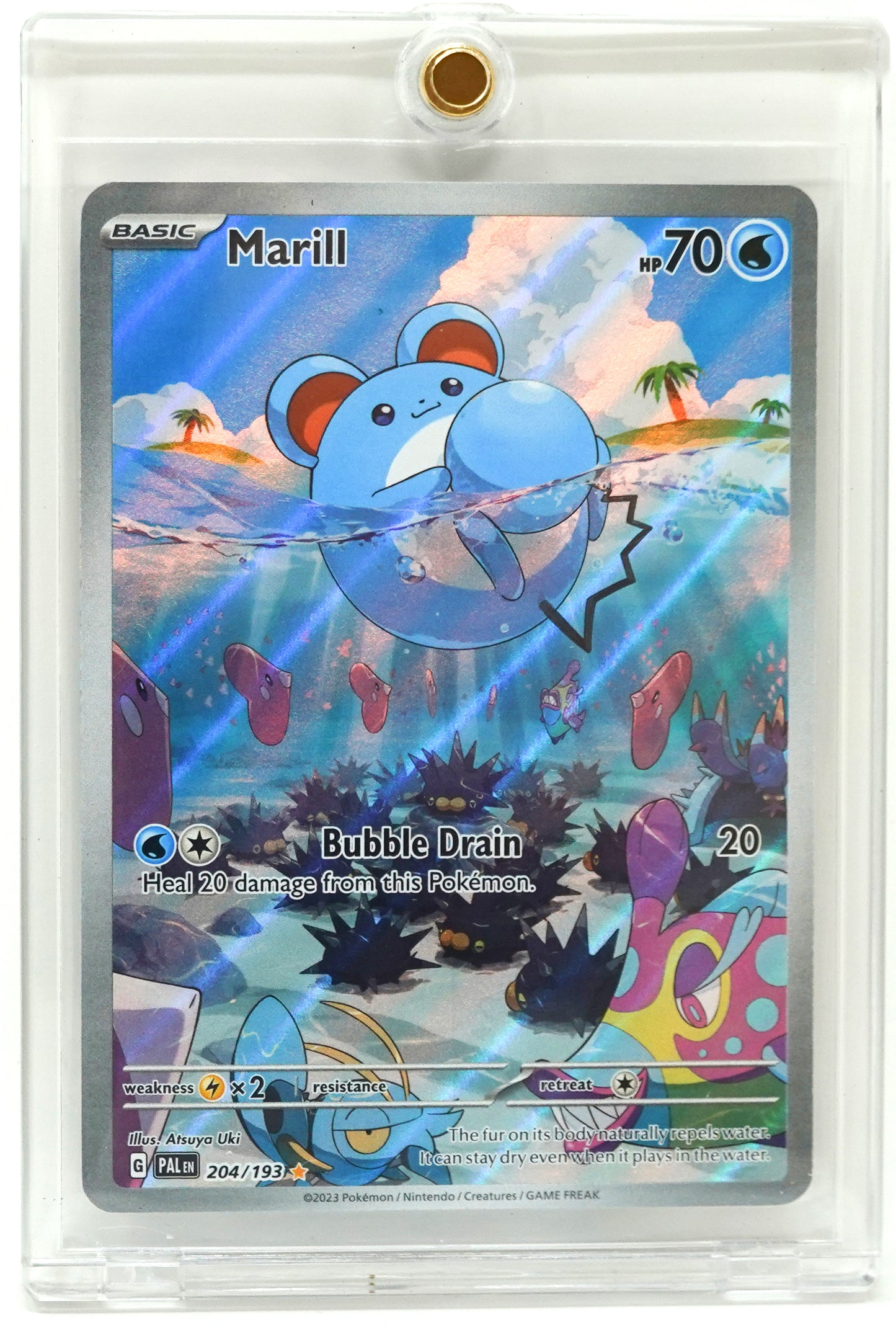 2023 POKEMON PALDEA EVOLVED #204 MARILL ILLUSTRATION RARE HOLO