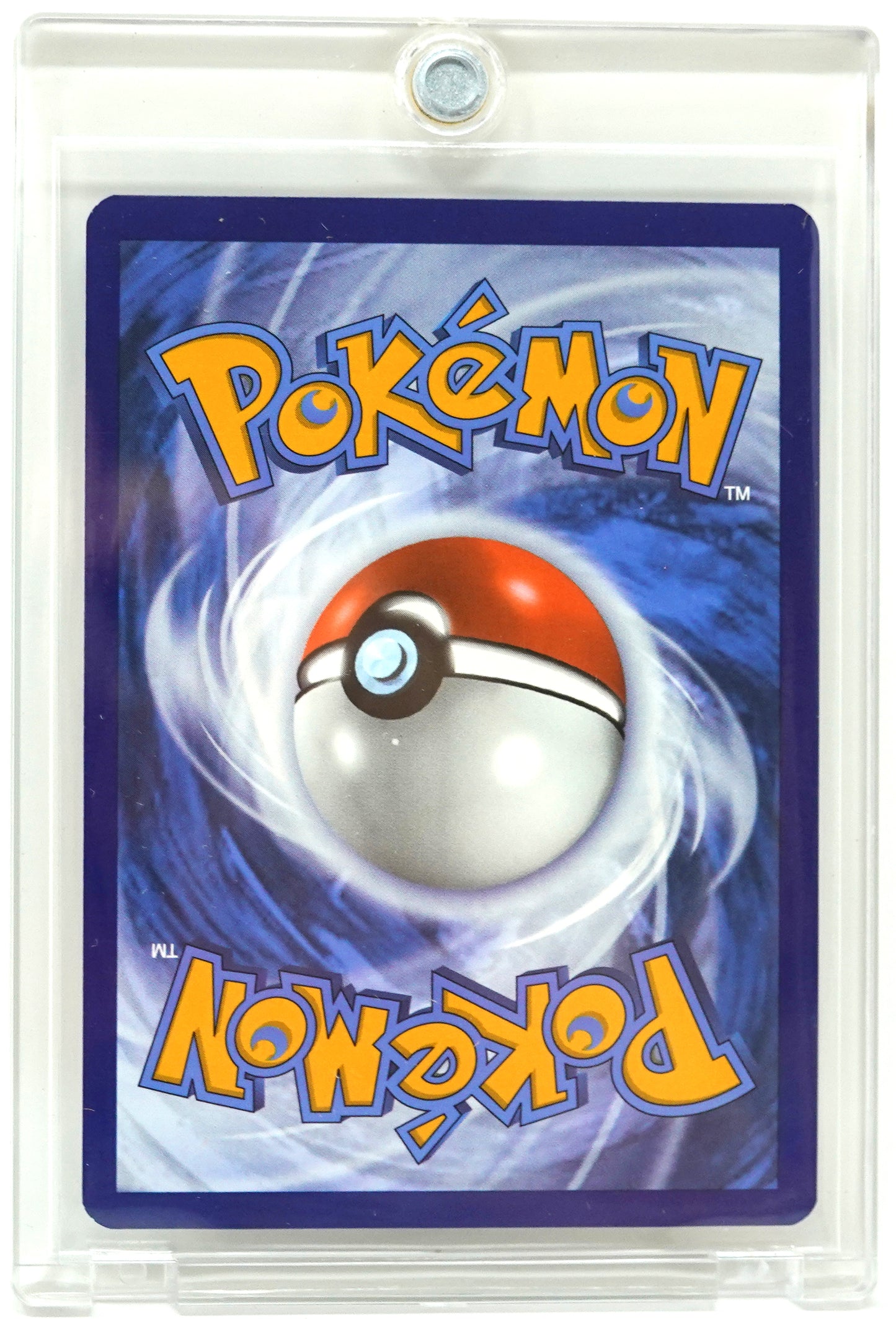 2023 POKEMON PALDEA EVOLVED #204 MARILL ILLUSTRATION RARE HOLO